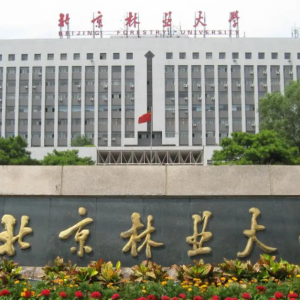 2022北京林业大学心理学考研分数线公布-考研复试线查询