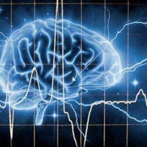 心理学考研考点汇总！当大脑处于清醒和警觉状态时，脑电波主要是？ ... ... ... ...