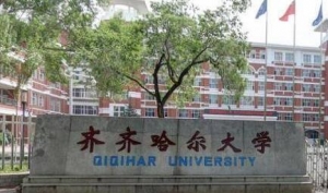 心理学考研复试|2023年齐齐哈尔大学心理健康教育复试名单-研究生成绩查询 ...